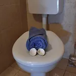 Frama * Bol